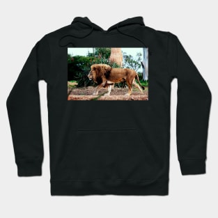 Lion Watercolour Hoodie